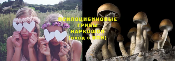 Альфа ПВП Гусев