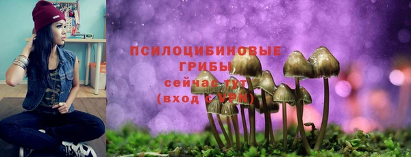 Альфа ПВП Гусев