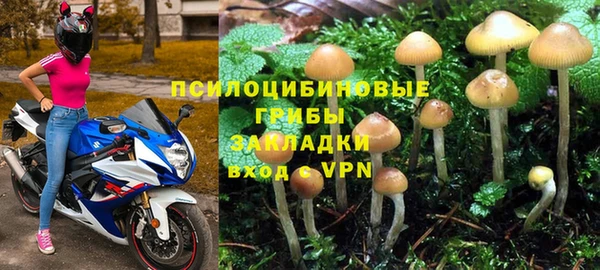 амф Гусиноозёрск